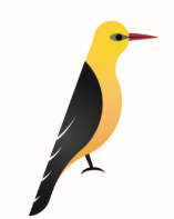 Oriole Resources PLC